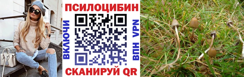 ссылка на мегу маркетплейс  Хотьково  Галлюциногенные грибы GOLDEN TEACHER 